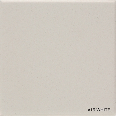 16 White Image