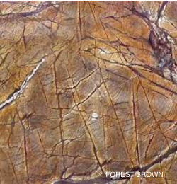 Forest Brown Marble-image