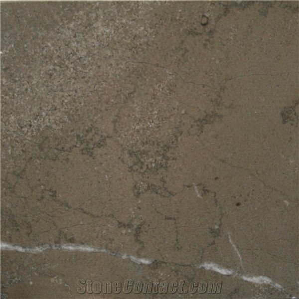 Grey Venezia Limestone Image