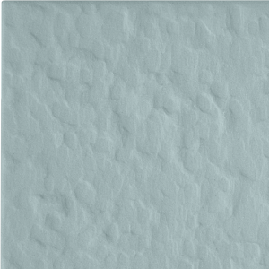 variant:31