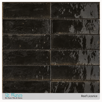 variant:01