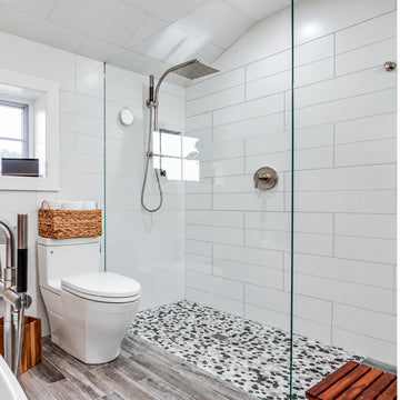 variant:shared