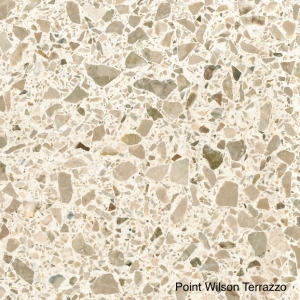 Point Wilson-image